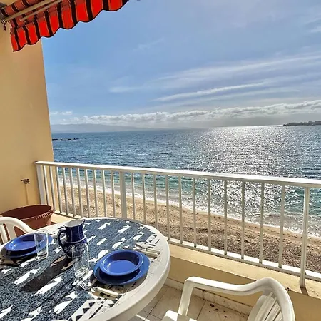 Corse Azur Pieds Dans L'eau