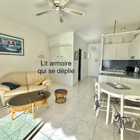 Corse Azur Pieds Dans L'eau Ajaccio (Corsica)